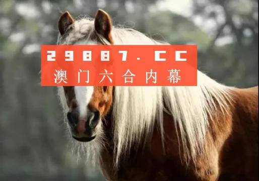 焦报 第222页