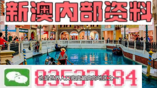 新澳门精准资料大全管家婆料,动态词语解释落实_粉丝版345.372